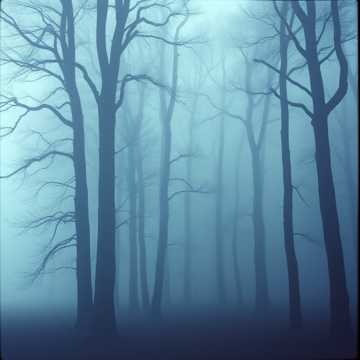 Footsteps in the Fog