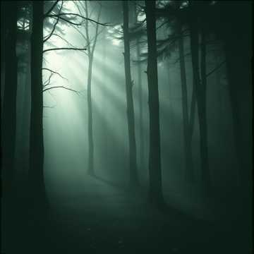 Footsteps in the Fog 4