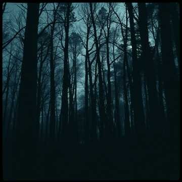 Shards of Dread ハードGr