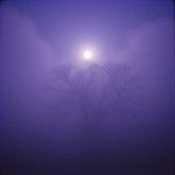 Shadows in the Fog　ストリングス