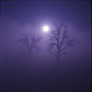 Shadows in the Fog (1)チェロ