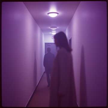 Shadows in the Hall (1)