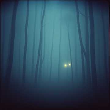 Ritual of Shadows　ASIA