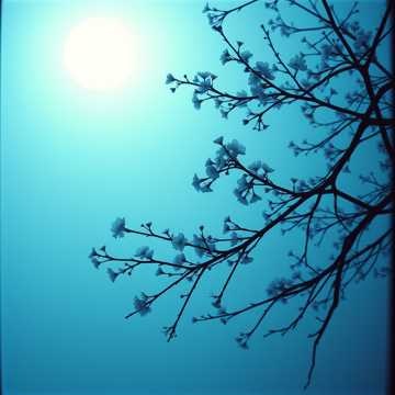 風の影 (Kaze no Kage) (3)