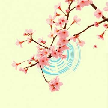 風の踊り子