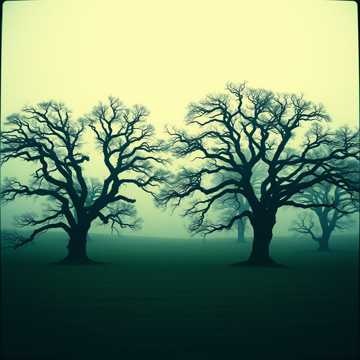 The Road of Farewell (6)