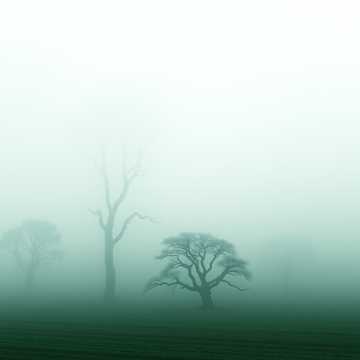 Whisper of the Ancient Wind (7)