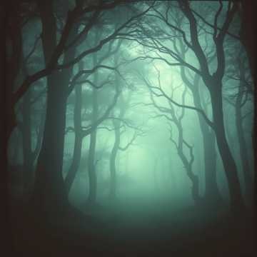 Before the Storm (25)