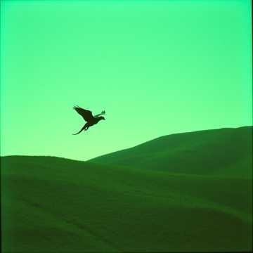 The Road of Farewell (9)