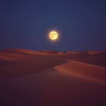 Desert Mirage (4)　アラビアン・中東風 Arabian