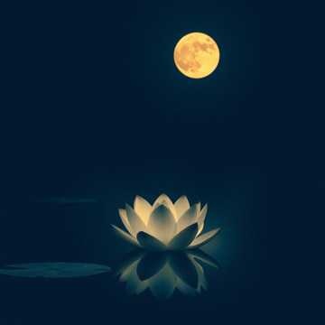 Whispers of the Eternal (1)・ インド・Indian