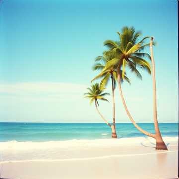 Island Dreams (1)・レゲエ Reggae